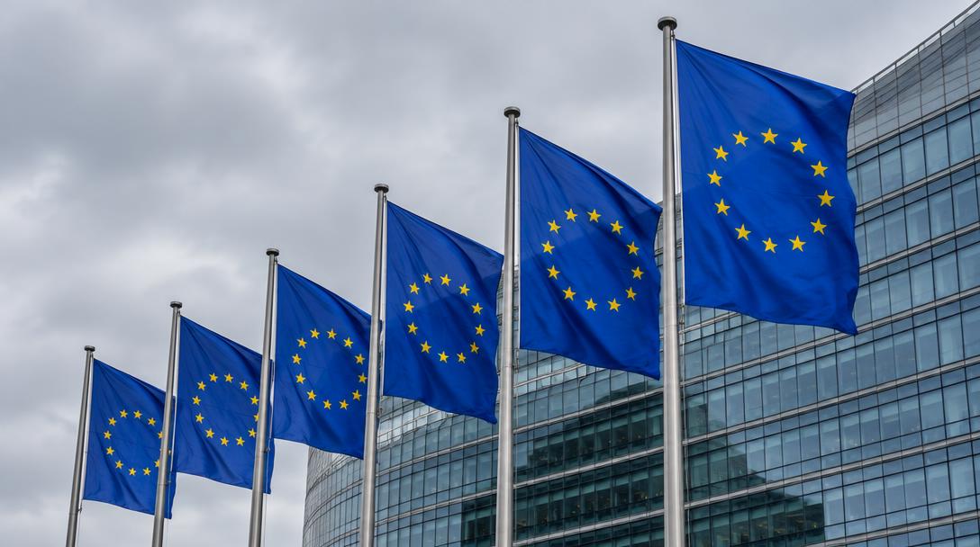 Illustrative unbranded image for Regulation (PPWR/EPR/EUDR/ISPM); not the named organisation, premises, people or event