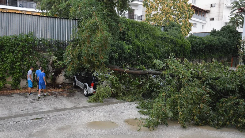 Illustrative unbranded image for Disruption & freight alerts; not the named organisation, premises, people or event