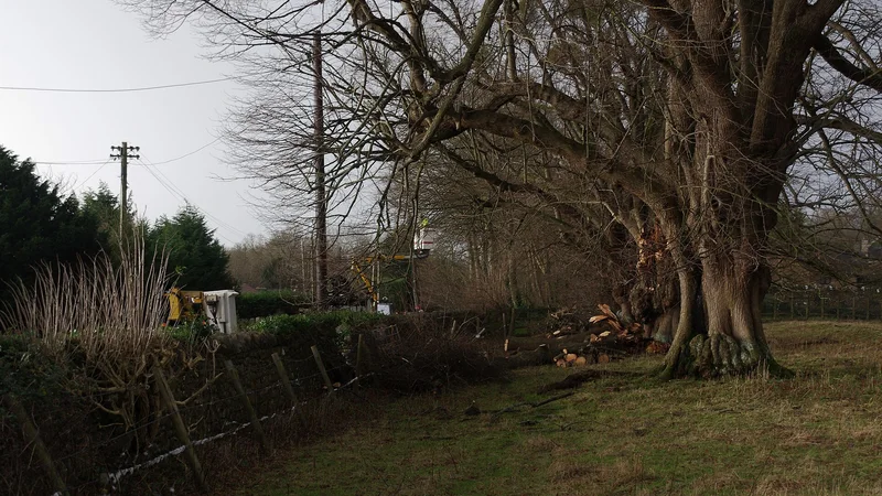 Illustrative unbranded image for Disruption & freight alerts; not the named organisation, premises, people or event