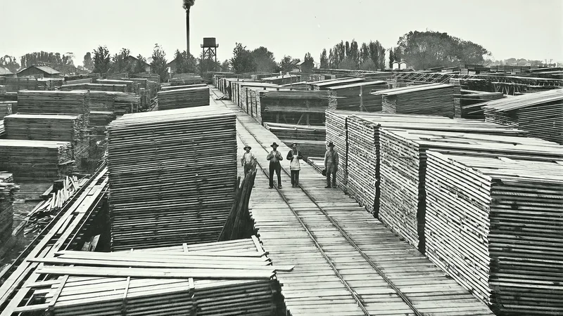 Illustrative unbranded image for Pallet builders; not the named organisation, premises, people or event
