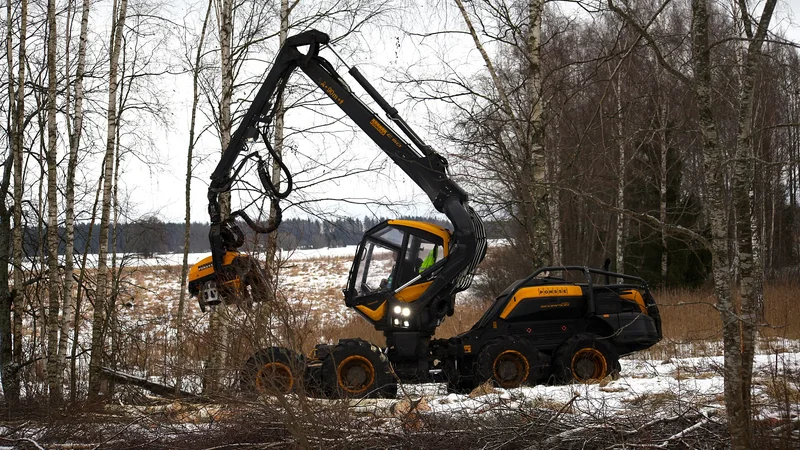 Illustrative unbranded image for Timber & materials/prices; not the named organisation, premises, people or event