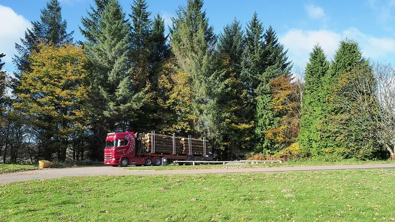 Illustrative unbranded image for Trailers & transport; not the named organisation or event