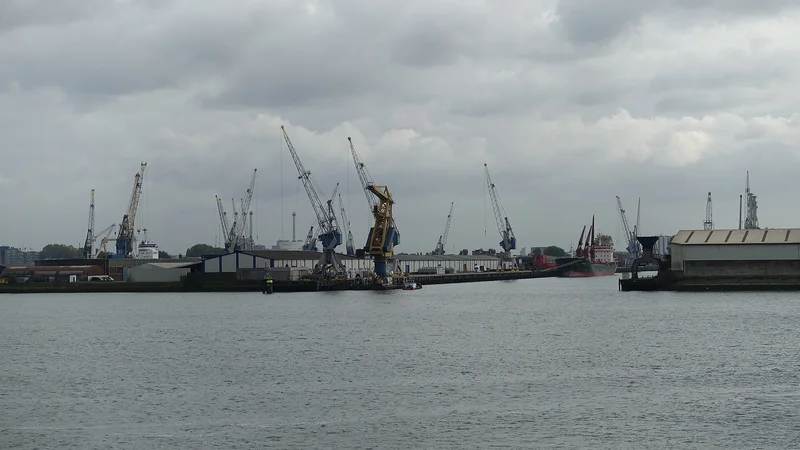 Illustrative unbranded image for Wooden, plastic & specialist pallets; not the named organisation, premises, people or event