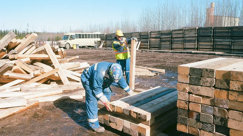 Illustrative unbranded image for Wooden, plastic & specialist pallets; not the named organisation, premises, people or event